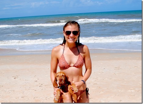 Florida Dog Beach