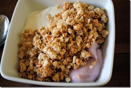 Granola Yogurt Bowl