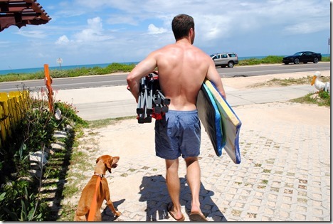 dog friendly Florida beach