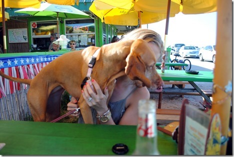 dog friendly restaurant