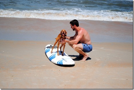 dog surfing