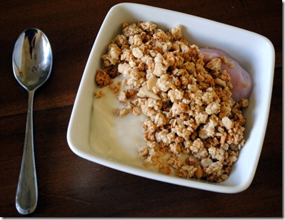 greek yogurt and granola