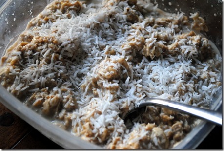 overnight oats with shredded coconut