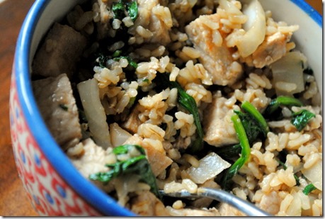 pork and brown rice