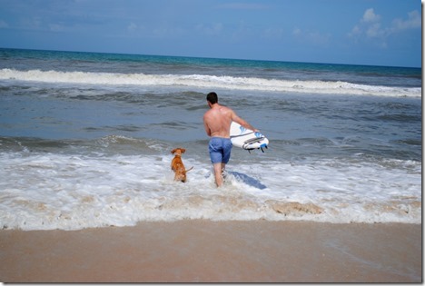 vizsla ocean