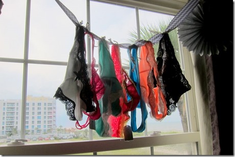 Bachelorette Panty Game