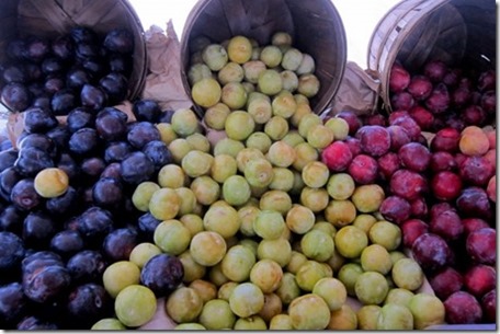 Pluot