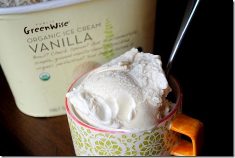 Publix Organic Vanilla Ice Cream