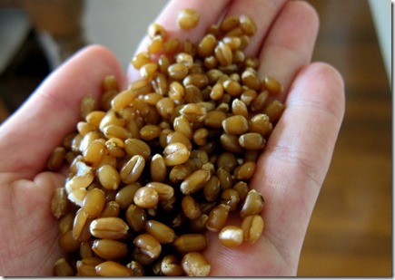 Wheat Berries