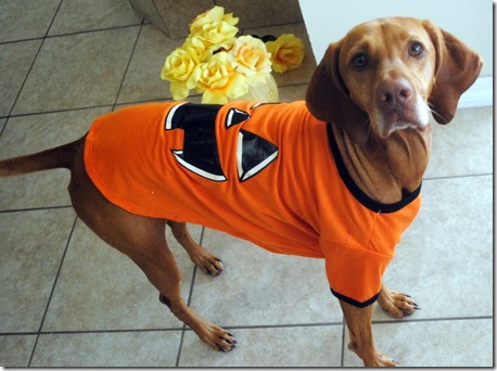 Pumpkin t-shirt