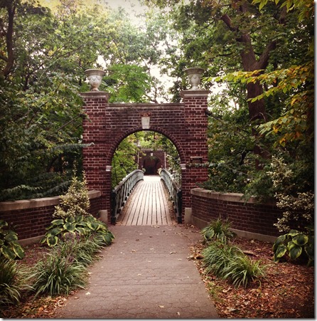 Rutgers University Campus