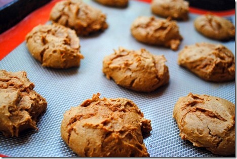 Two Ingredient Pumpkin Cookies
