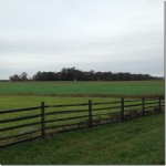 photo 2 (1) photo 2 (1)