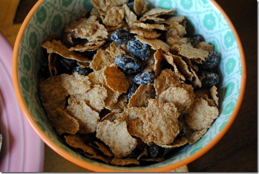 total raisin bran