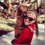 Dog Turkey Trot Dog Turkey Trot
