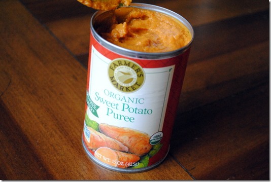 Pureed Sweet potato