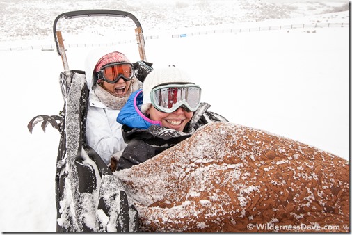 OmniGames Dog Sledding