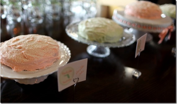 Bridal Shower Cake