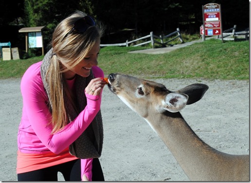 Parc Omega