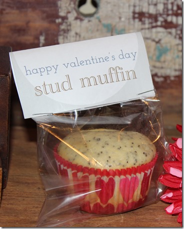 Budget Friendly Valentine's Day Gift Ideas