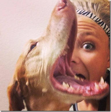 sadie vet