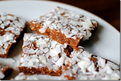 Easy and Healthy No Bake Tropical Energy Bars