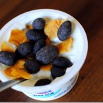 Greek Yogurt with Cocoa Almonds and Mango Greek Yogurt with Cocoa Almonds and Mango