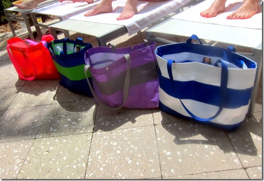 Hayden Reis Totes