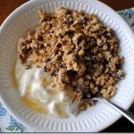 Nature Valley Protein Granola with Greek Yogurt