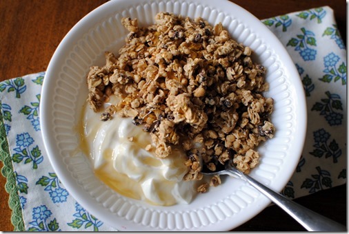 Nature Valley Protein Granola with Greek Yogurt