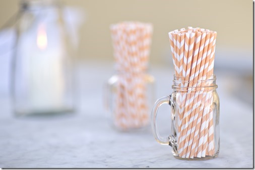 Cocktail Hour Straws