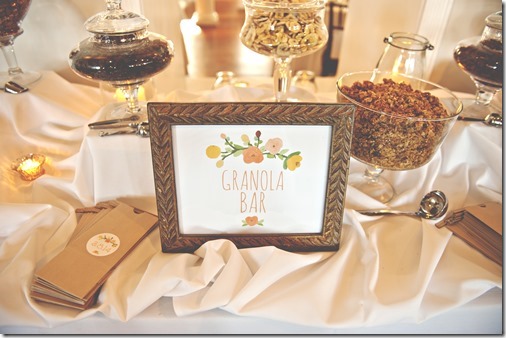 Granola Bar