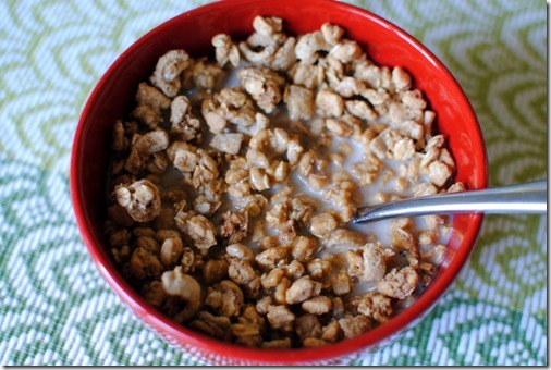 Kashi Go Lean Cinnamon Crisp