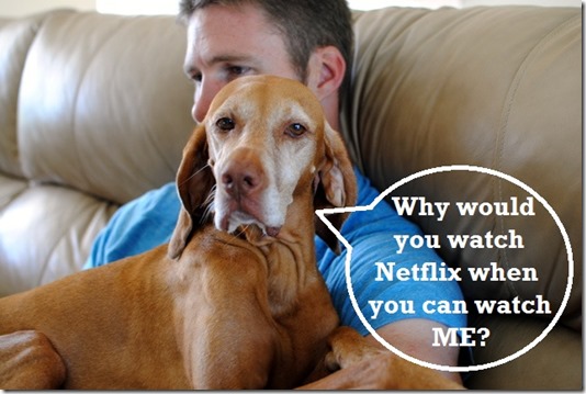 Why would you watch Netflix when you can watch me