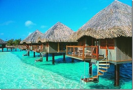 oceanhut