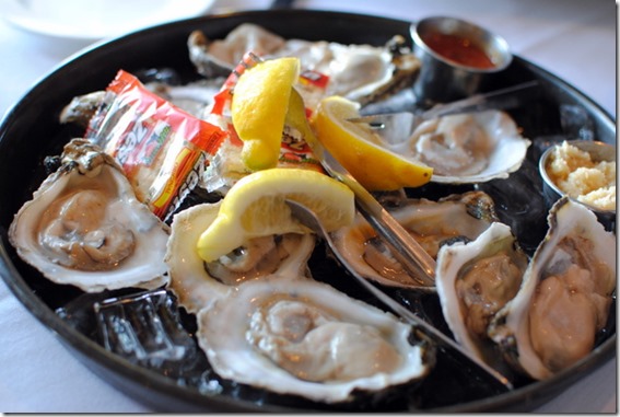raw oysters