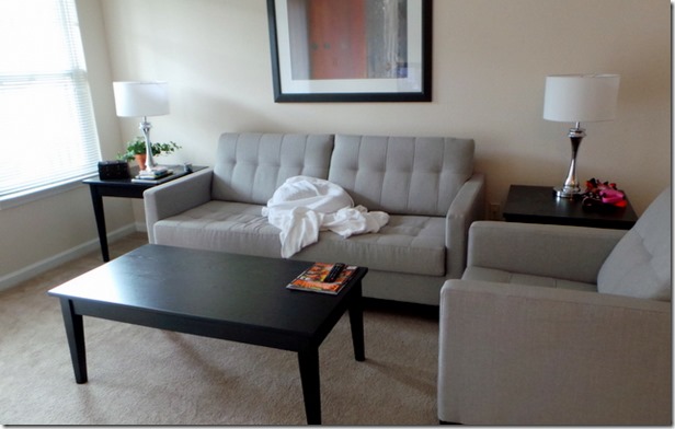 Apartment Living Room