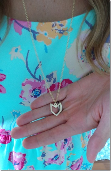 Chevron Necklace