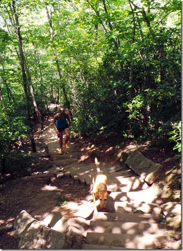 Crowders Mountain Stairs