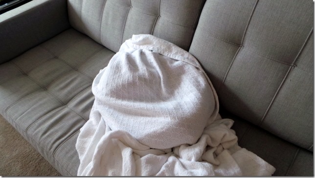Dog in Sheet