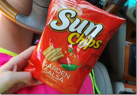 Garden Salsa Sun Chips