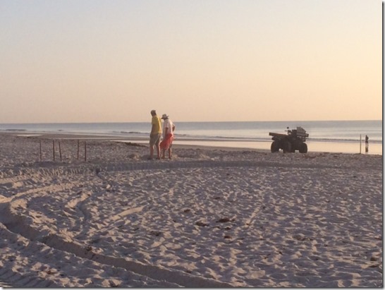 Sea Turtle Patrol