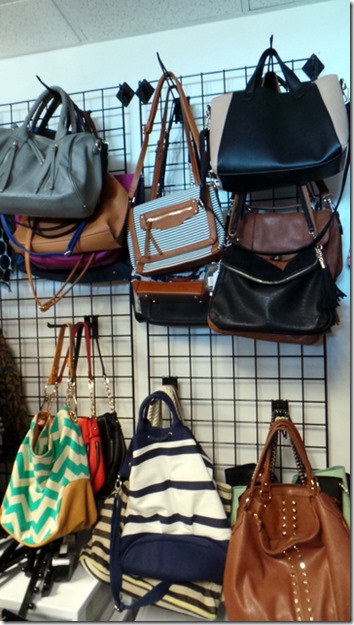 StitchFix Purse