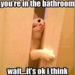 You Forgot To Tell Me You're In the Bathroom...
