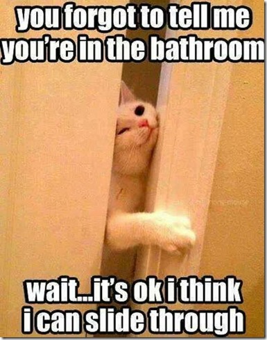 You Forgot To Tell Me You're In the Bathroom...
