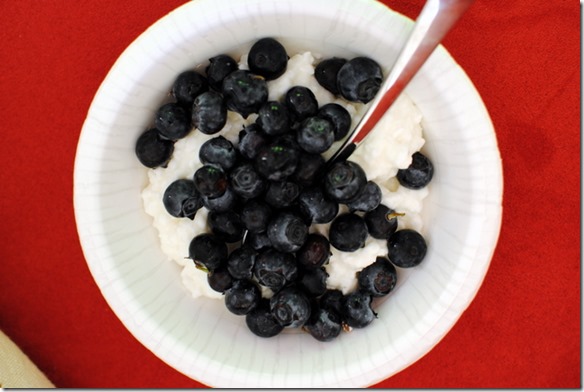 blueberry cottage cheese blueberry cottage cheese