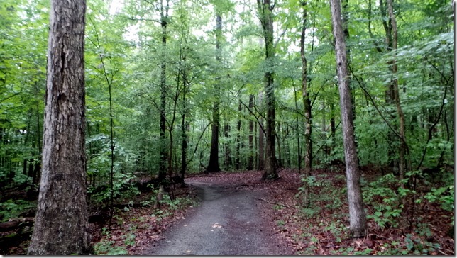 Latta Plantation