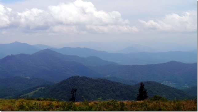 The Balds Roan Mountain View