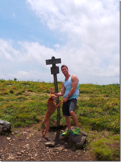 The Balds Roan Mountain