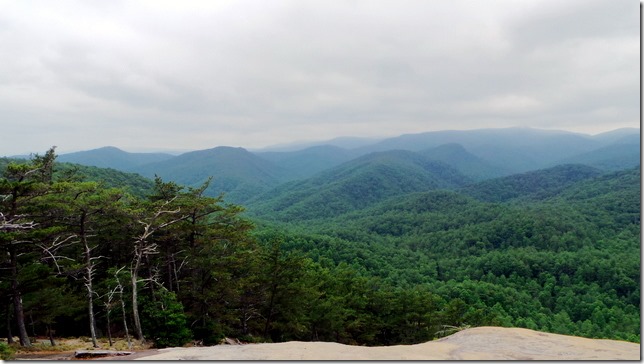 View from the summit of Stone Mountain